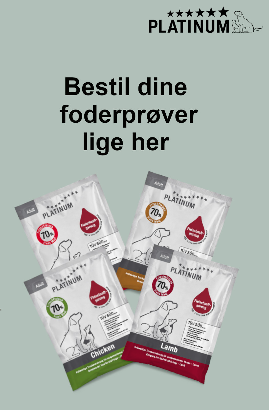 PLATINUM Hundefoder